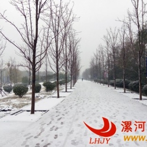 һͼƬţ20151123-1129